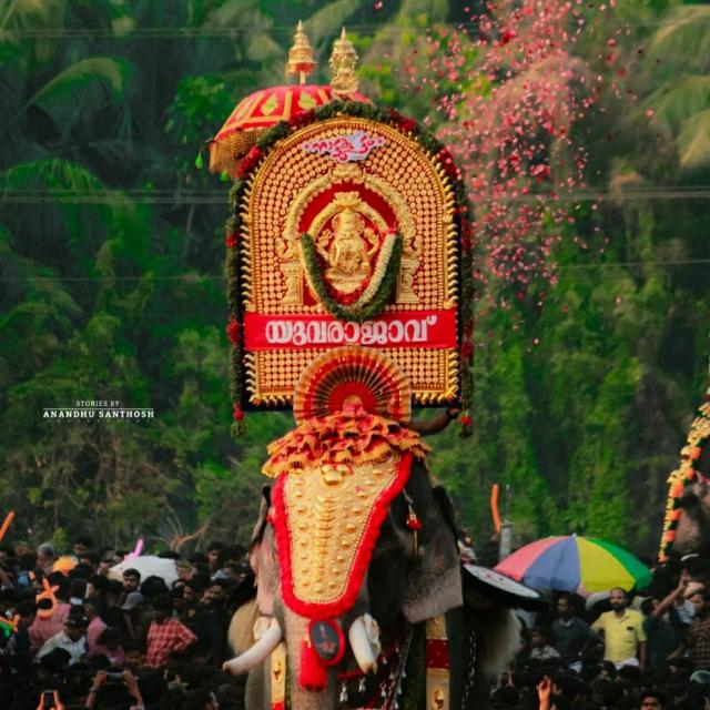 നന്ദിലത്ത് ഗോപാലകൃഷ്ണൻ ❤️‍🔥😬🐘