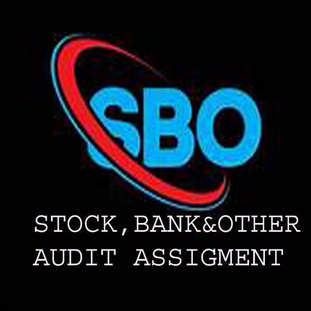S B O Audit Assignments