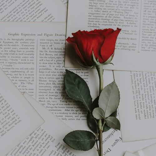 Poetry with heart ❤️