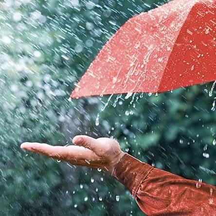 विदर्भ हवामान अंदाज ⛈️