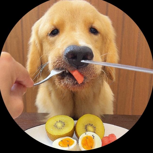 The Food Stare