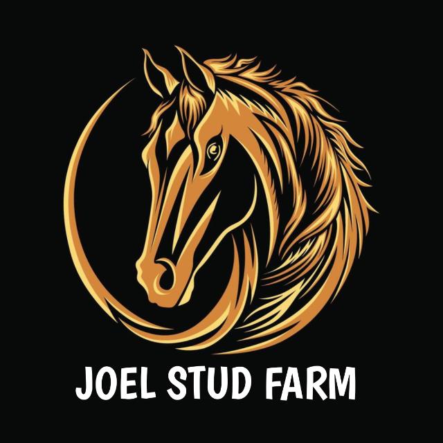 Joel Stud Farm 🏇