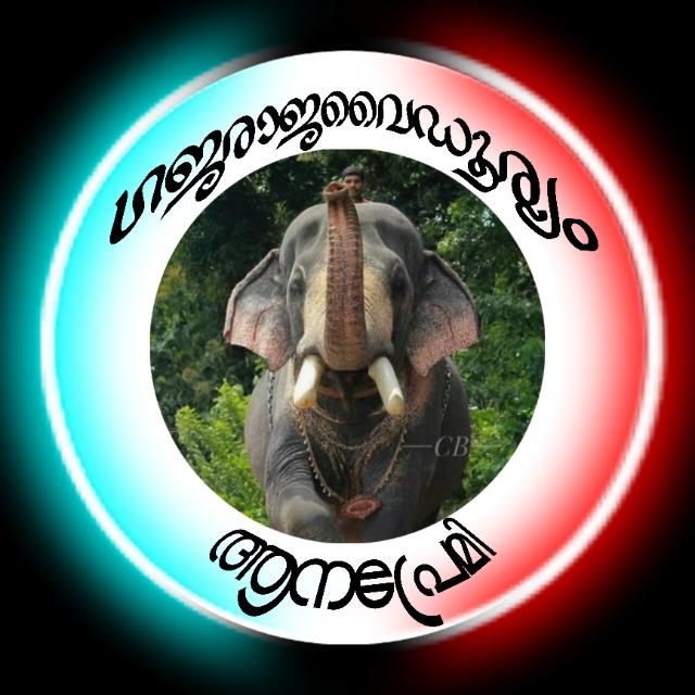 👑ഗജരാജാവൈഡുര്യം💚𝕒𝕒𝕟𝕒 𝕡𝕣𝕖𝕞𝕚💚