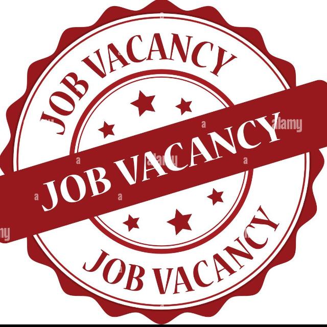 Job Rajasthan  2025