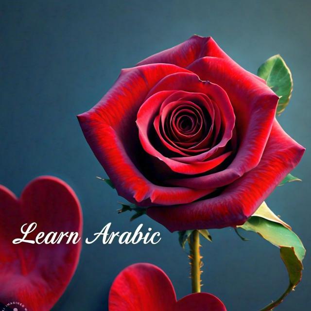 Learn Arabic with Sadiq