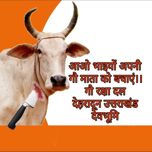 गौ रक्षा दल देहरादून देवभूमि उत्तराखंड