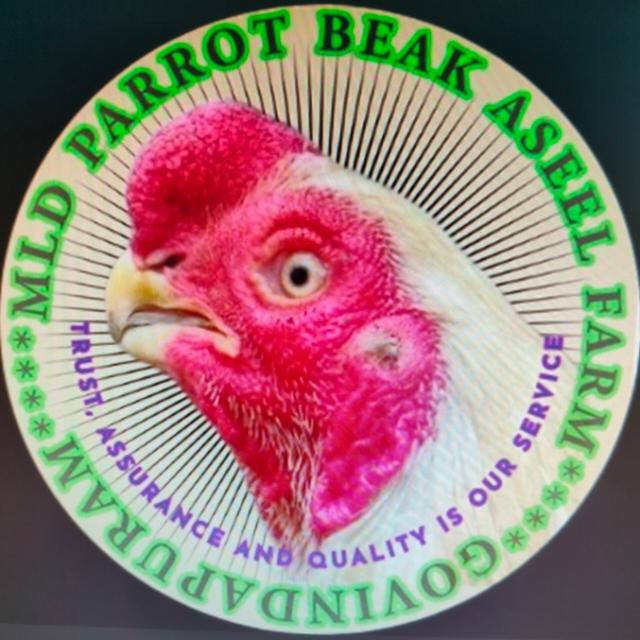 M.L.D PARROT BEAK ASEEL FARM