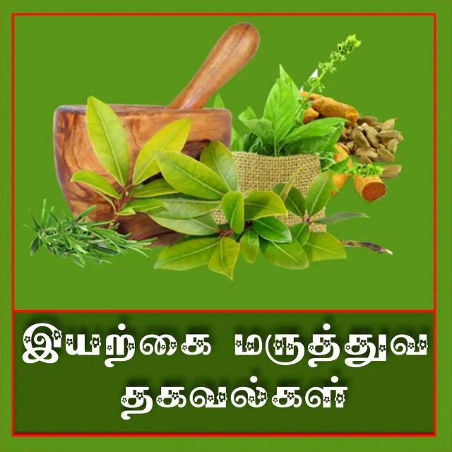 🍃இயற்கை மருத்துவ தகவல்கள்🍃