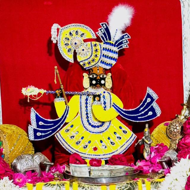🦚सेठ जी के डेली दर्शन💗🙏🏻