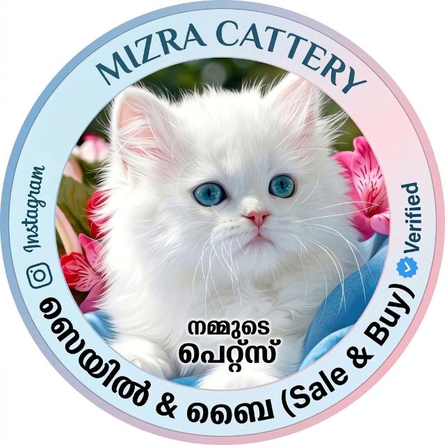 🐱𝗺𝗶𝘇𝗿𝗮 𝗰𝗮𝘁 𝘀𝘁𝗼𝗿𝗲 🐱