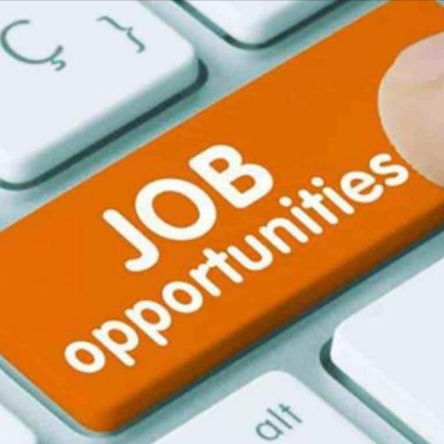 Part Time Job is available-TN