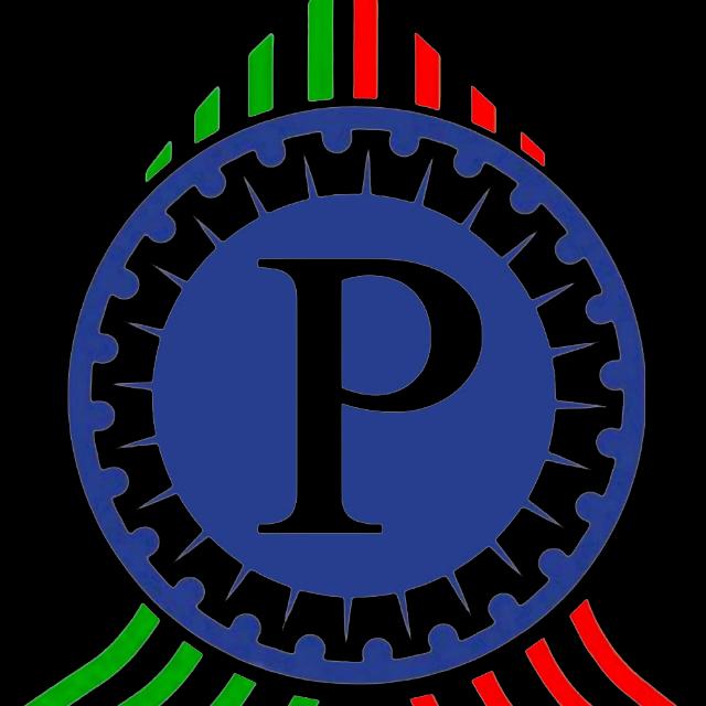 POWER PULSE