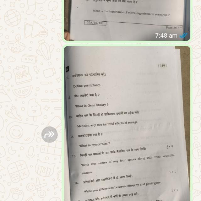 Bihar board intermediate