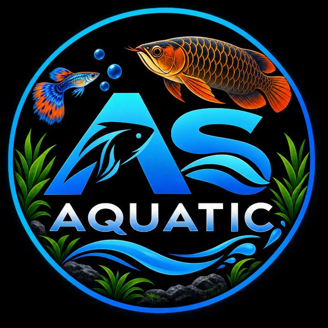 AS AQUATIC 🦈 Gubby And monster fish 🐠