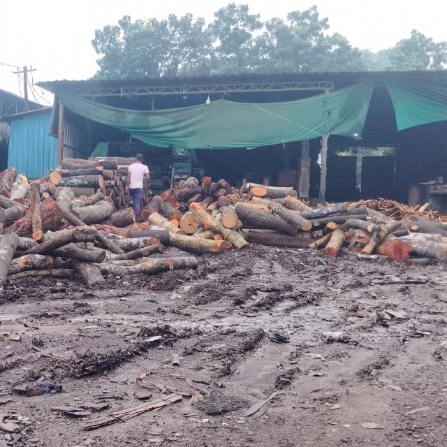 ALL INDIA PLYWOODS OP CONTAKTAR