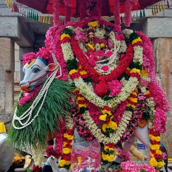 Omm Namashivaaya 🕉️🙏🏻