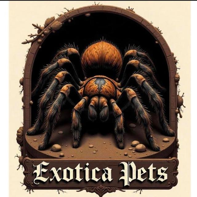 Exotic pets (sell purchase in lot)