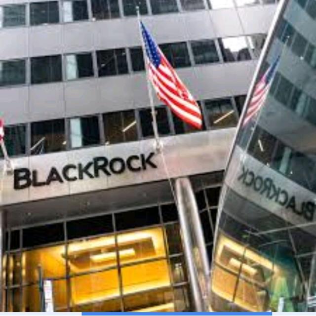INDIA 🇮🇳🇮🇳    BLACK ROCK INVESTMENT 🇮🇳