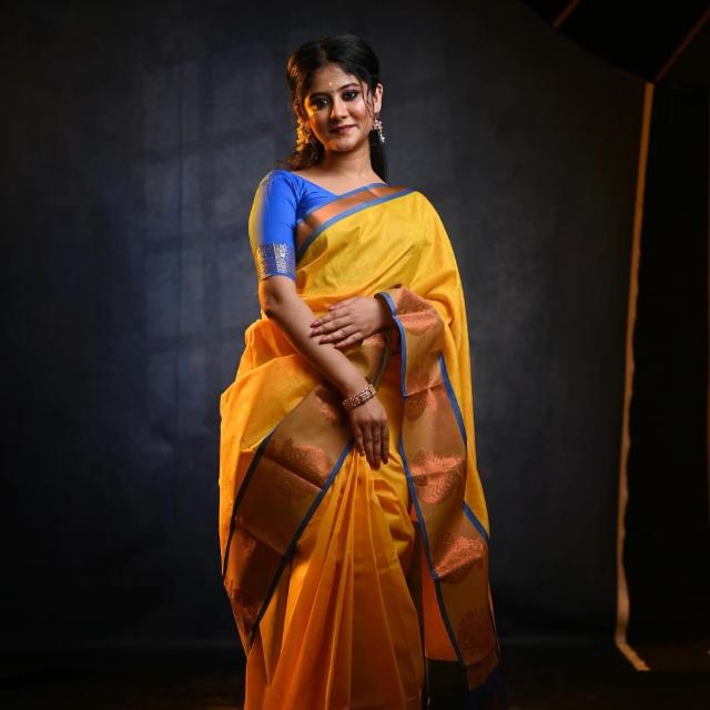 Kanchi ilakiya Silks